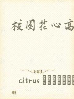 校园花心高手