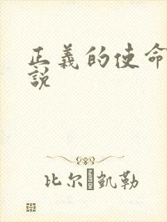 正义的使命 小说