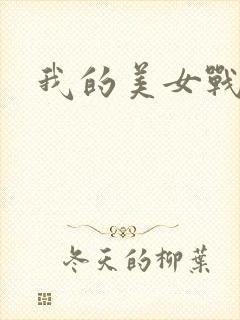 我的美女战队