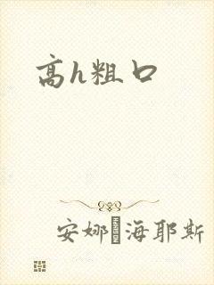 高h粗口