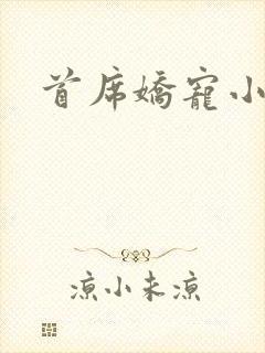 首席娇宠小情人