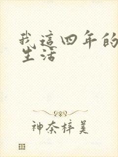 我这四年的奴隶生活封面