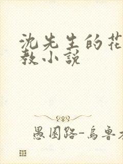 沈先生的花式调教小说