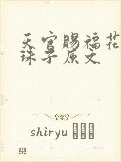 天官赐福花怜塞珠子原文