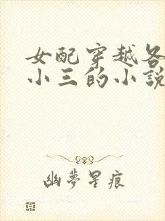 女配穿越各个做小三的小说