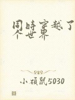 同时穿越了99个世界