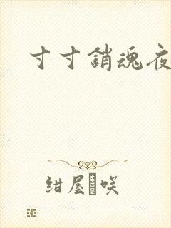 寸寸销魂夜春光