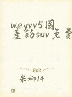 weyvv5国产的suv免费