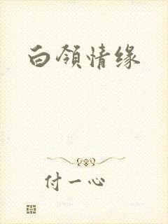 白领情缘