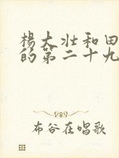 杨大壮和田桂花的第二十九