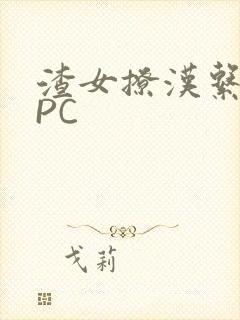 渣女撩汉系统NPC