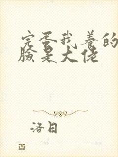 完蛋我养的小白脸是大佬