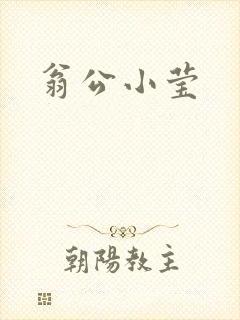 翁公小莹
