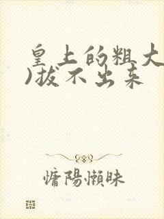 皇上的粗大(h)拔不出来