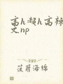 高h超h高辣h文np