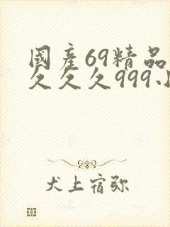 国产69精品久久久久999小说