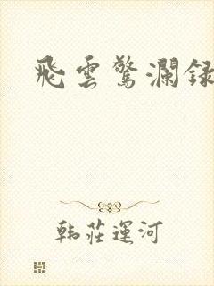 飞云惊澜录