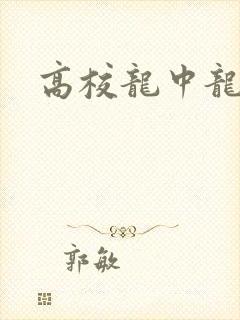 高校龙中龙