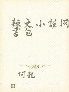 辣文小说网第二书包