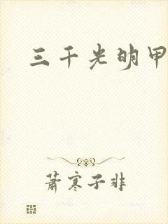 三千光明甲