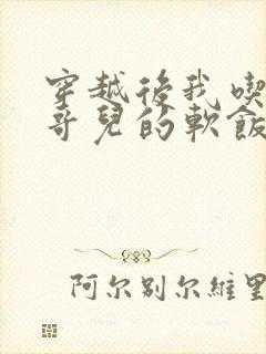 穿越后我吃到了哥儿的软饭炉山灰