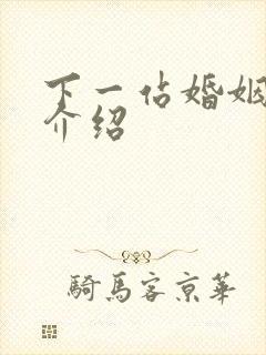 下一站婚姻剧情介绍