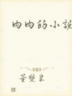 肉肉的小说