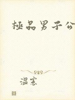 极品男子公寓封面