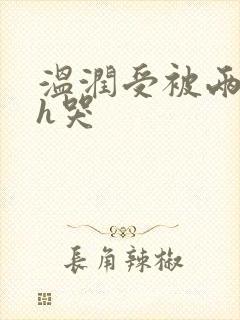 温润受被两个攻h哭