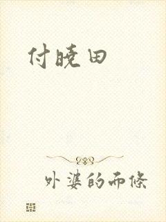 付晓田