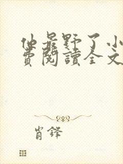 他最野了小说免费阅读全文