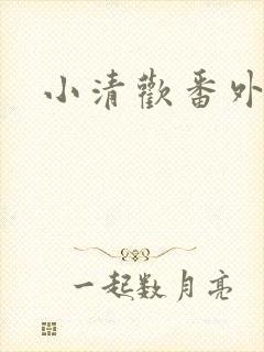 小清欢番外