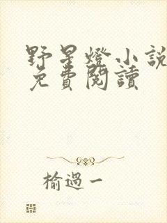 野星灯小说全文免费阅读