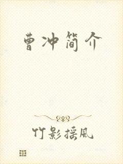 《曹冲简介》小说封面