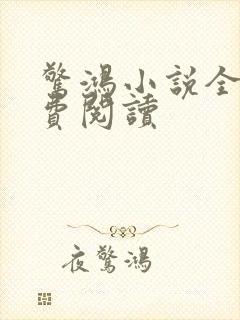 惊鸿小说全文免费阅读