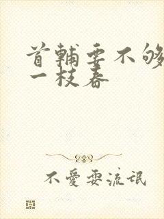 首辅要不够po一枝春