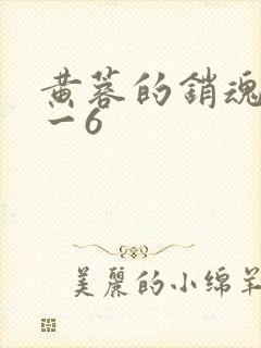 黄蓉的销魂夜1一6