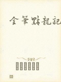 金笔点龙记封面