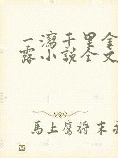 一泻千里金银花露小说全文免费阅读