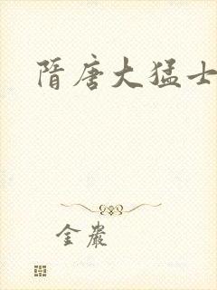 《隋唐大猛士》小说封面