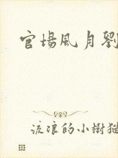 官场风月刘明强