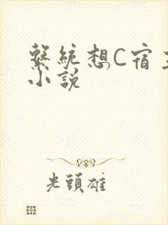 系统想C宿主的小说