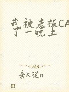 我被老板CAO了一晚上