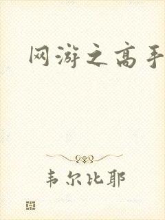 网游之高手寂寞