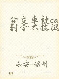 公交车被cao到合不拢腿视频