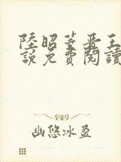 陆昭菱晋王的小说免费阅读