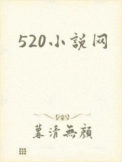 520小说网