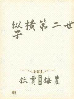 纵横第二世界宽子