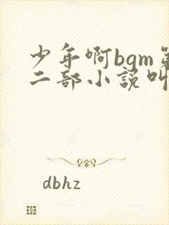 少年啊bgm第二部小说叫什么