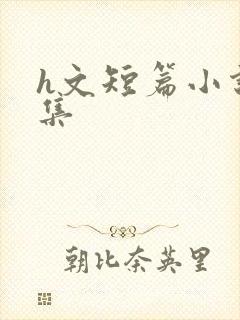 h文短篇小说合集